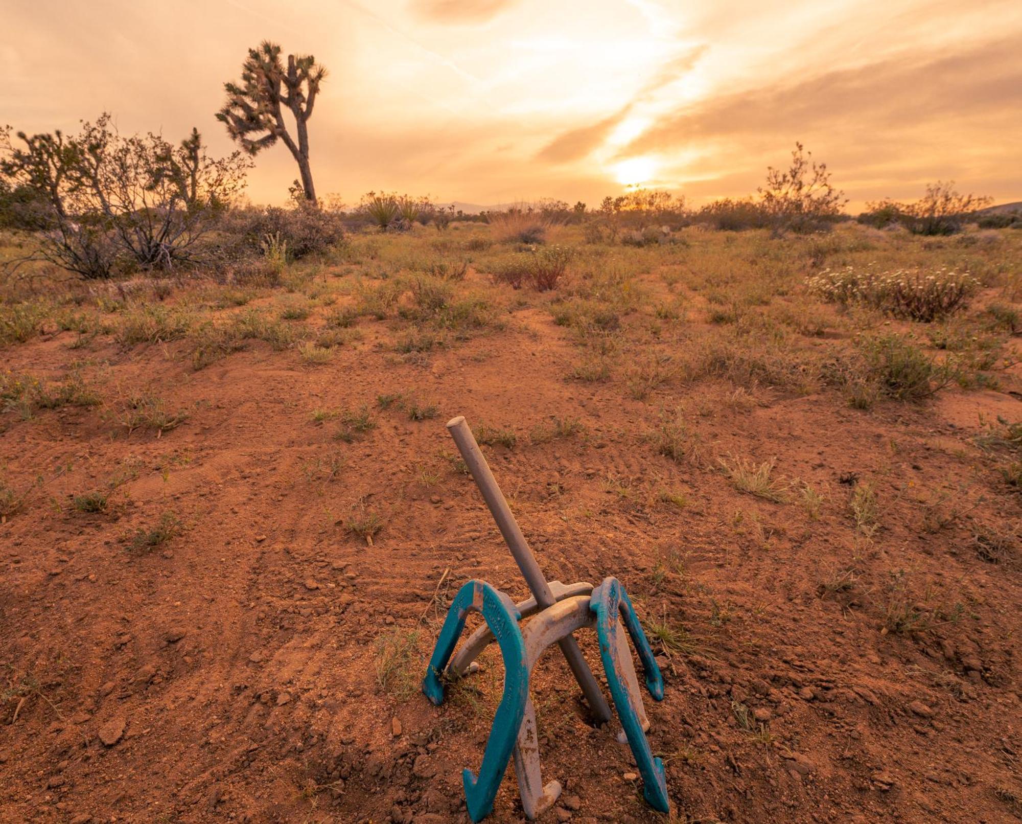 Coyote Tracks - A Modern Desert Experience Villa Joshua Tree Bagian luar foto